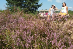 16e851e9-c17a-4a6b-b821-669b6c758671