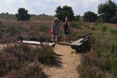 1fcd9757-b0f8-446e-a07f-f46d8ab85297