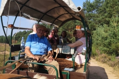 406513f3-503b-4256-a700-867f72cafa3f