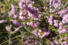 6cf00740-431b-4c32-b6f8-153912a05fe7