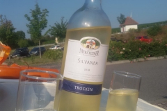 7a9b94ca-b695-4131-80ff-567096d5d1d4