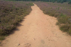 86f768a1-293a-444f-8901-be8fe12eff63