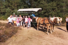 921750a1-feb7-420f-8063-8c6d7843c0fb-1