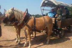 97714230-7845-4ed5-90bd-f5d7e6443106