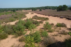 c97ce3ac-d69e-4687-a324-c8d75722db75