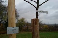 WhatsApp Image 2017-11-11 at 15.03.45