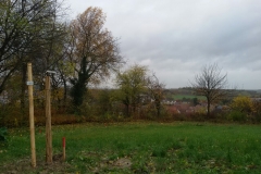 WhatsApp Image 2017-11-11 at 15.04.08