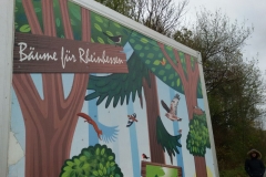 WhatsApp Image 2017-11-11 at 15.04.09